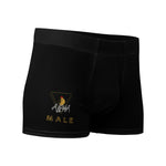 Alpha Boxer Briefs